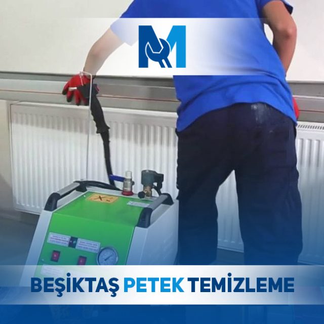 Beşiktaş Petek temizleme